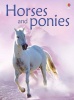 Horses And Ponies Photo