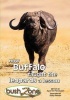 How buffalo taught the leopards a less : Bush Zone Reader 5 Photo