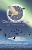 The Laplander Goose Photo