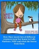 Mary's World Photo