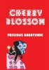 Cherry Blossom Photo