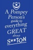 A Pompey Person's Guide to Everything Great About S**Ton Photo