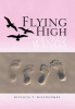 Flying High on Broken Wings Photo