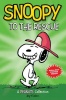 Snoopy to the Rescue Photo