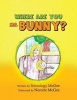 Where Are You Mr. Bunny? Photo
