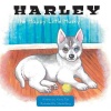 Harley The Happy Little Husky: Being Different Photo