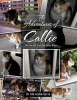The Adventures of Callie Photo