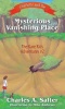 Charlotte and the Mysterious Vanishing Place Photo