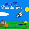 Blue Jay finds his Way Photo