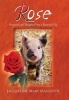 Rose - Postcards and Thoughts from a Beautiful Pig Photo