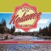 The Life Cycle of the Kokanee Salmon Photo