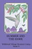 Hummer and the Hawk Photo