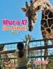 What Is A? Photo