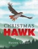 Christmas Hawk Photo