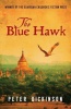 The Blue Hawk Photo