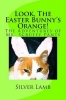 Look The Easter Bunny's Orange: The Adventures of Mr. Scruffy Pants Photo