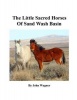 Little Sacred Horses of Sand Wash Basin Photo