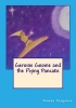 Gerome Gnome and the Flying Pancake Photo