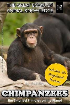 Photo of Chimpanzees: The Smartest Primates on the Planet