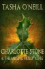 Charlotte Stone and the Missing Holly King Photo