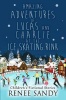 Amazing Adventures of Lucas and Charlie at the Ice Skating Rink Photo