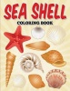 Sea Shell Coloring Book Photo