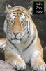 Kid's Zoo Diary Photo