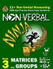 11 Non Verbal Reasoning: The Non-Verbal Ninja Training Course. Book 3: Matrices and Groups Photo