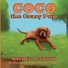 Coco the Crazy Pup Photo