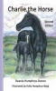 Charlie the Horse Photo