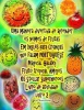 Uma Maneira Divertida de Aprender OS Nomes de Frutas Em Ingles Para Criancas Que Falam Portugues Galaxy Magico Fruto Tropical Amigos OS Stellar Superh Photo