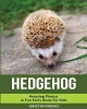 Hedgehog: Amazing Photos & Fun Facts Book For Kids Photo
