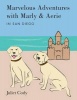 Marvelous Adventures with Marly and Aerie in San Diego Photo