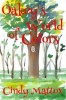 Oakey's World of Colors Photo