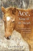 Ace King of My Heart Photo