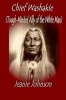 Chief Washakie: Tough-Minded Ally of the White Man Photo