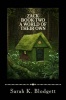 Zack Book Two A World of Their Own: Noah Text Photo