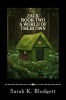 Zack Book Two A World of Their Own: Noah Text Photo