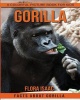 Facts about Gorilla a Colorful Picture Book for Kids Photo