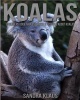 Childrens Book: Amazing Facts & Pictures about Koala Photo