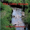 The Little Stream Photo