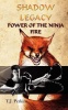 Power of the Ninja - Fire Photo