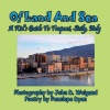 Of Land and Sea a Kid's Guide to Trapani Sicily Italy Photo