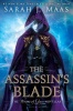 The Assassin's Blade Photo