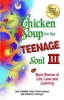 Chicken Soup for the Teenage Soul 3 Photo