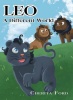 Leo - A Different World Photo