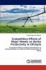 Competition Effects of Major Weeds on Barley Productivity in Ethiopia Photo
