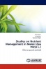 Studies on Nutrient Management in Maize Photo