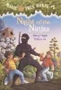 Night of the Ninjas Photo