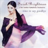 Sarah Brightman - Time To Say Goodbye Photo